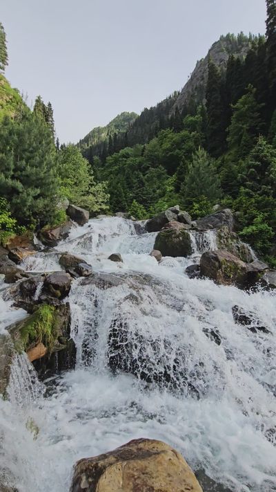 Shahid Sultan's nature timelapse video