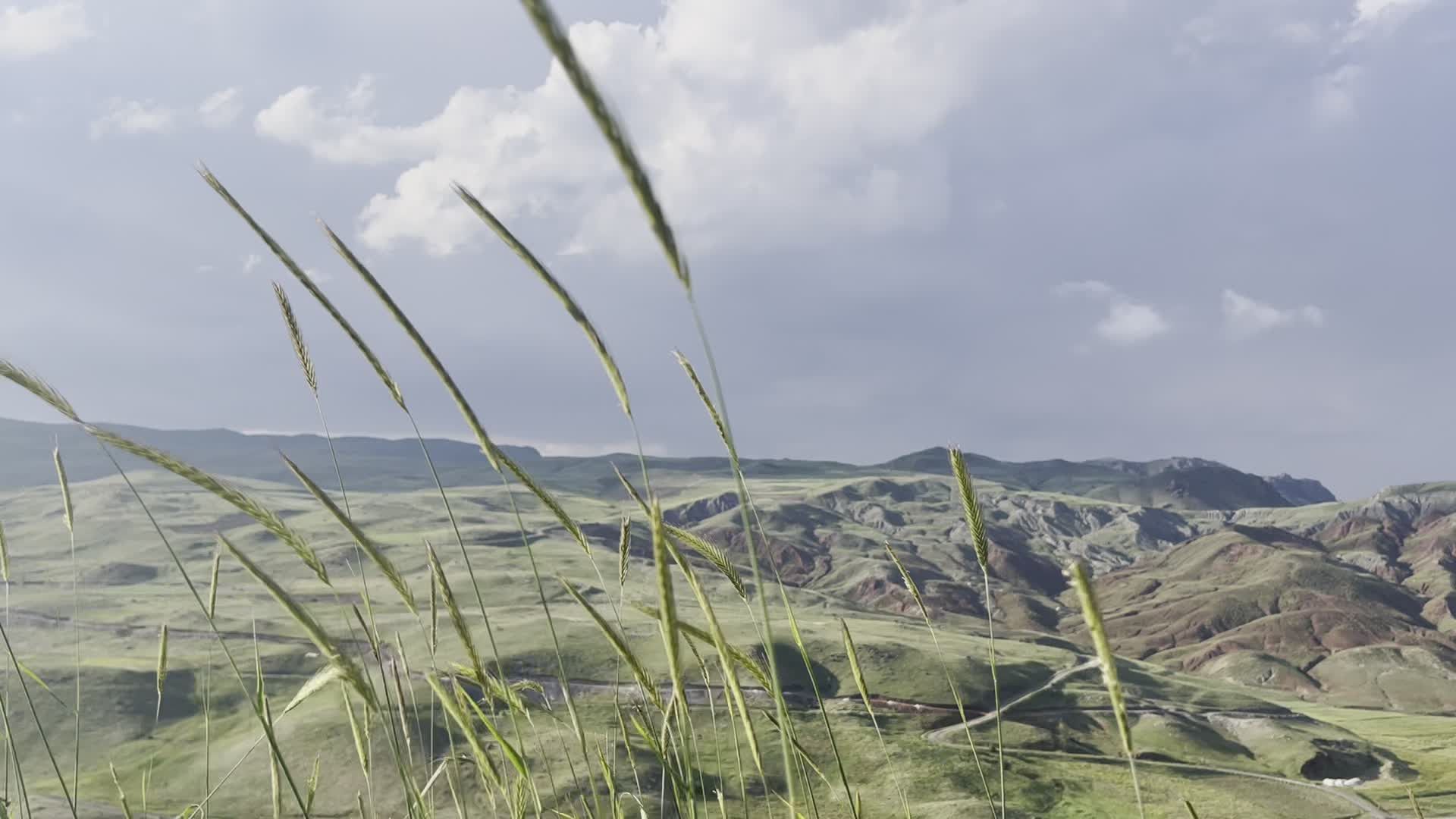 Video by azra melek