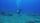 diving
