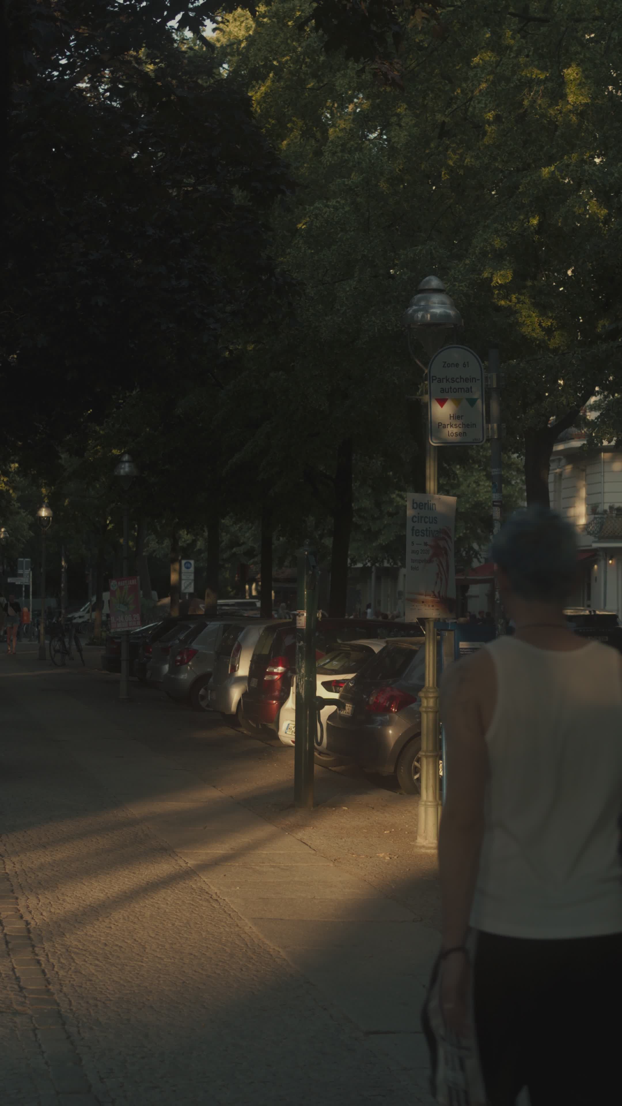 couple walking down a tree lined urban street 38644550 — free pexels stock footage