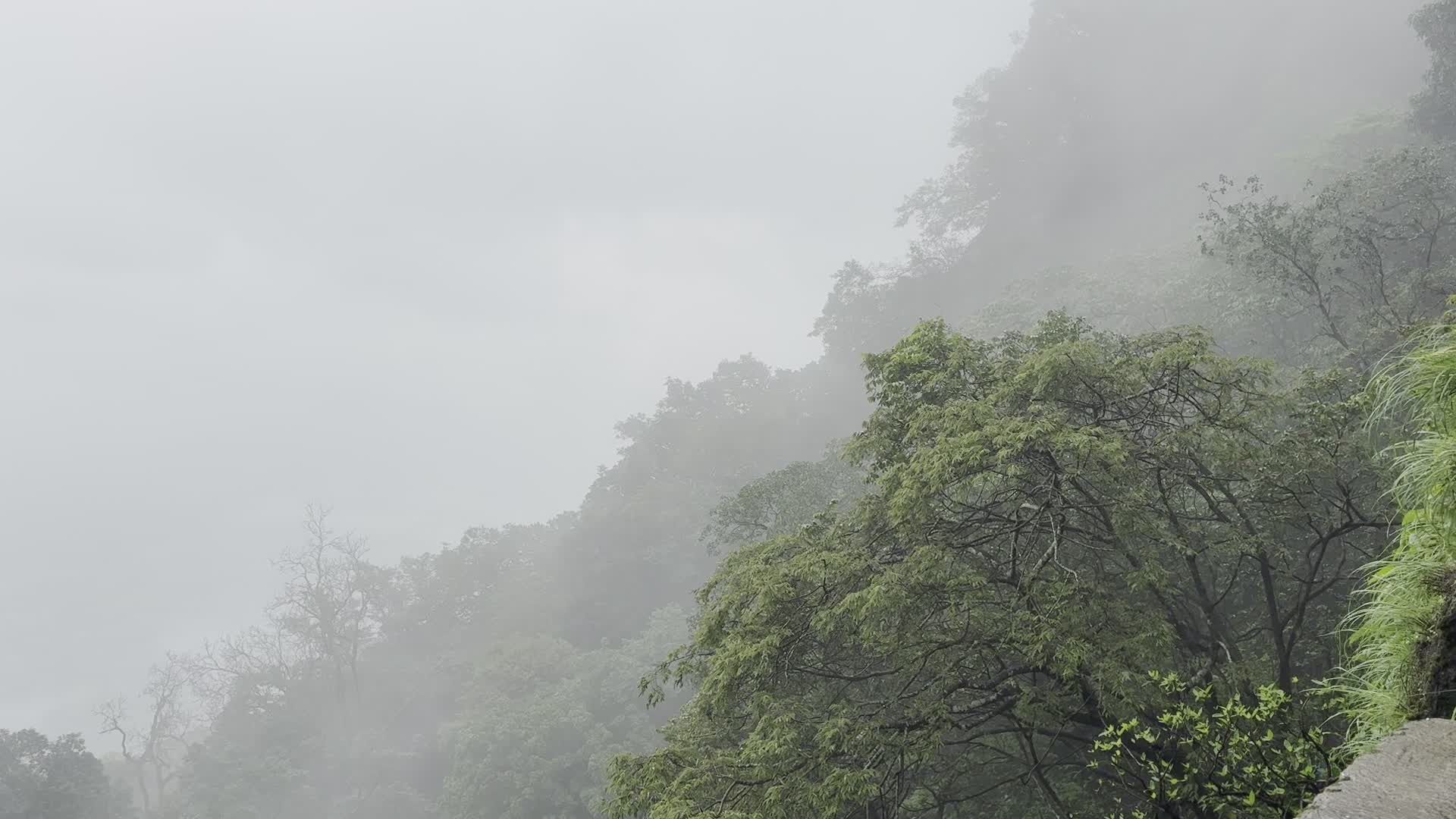 Video by Abhishek Kumar