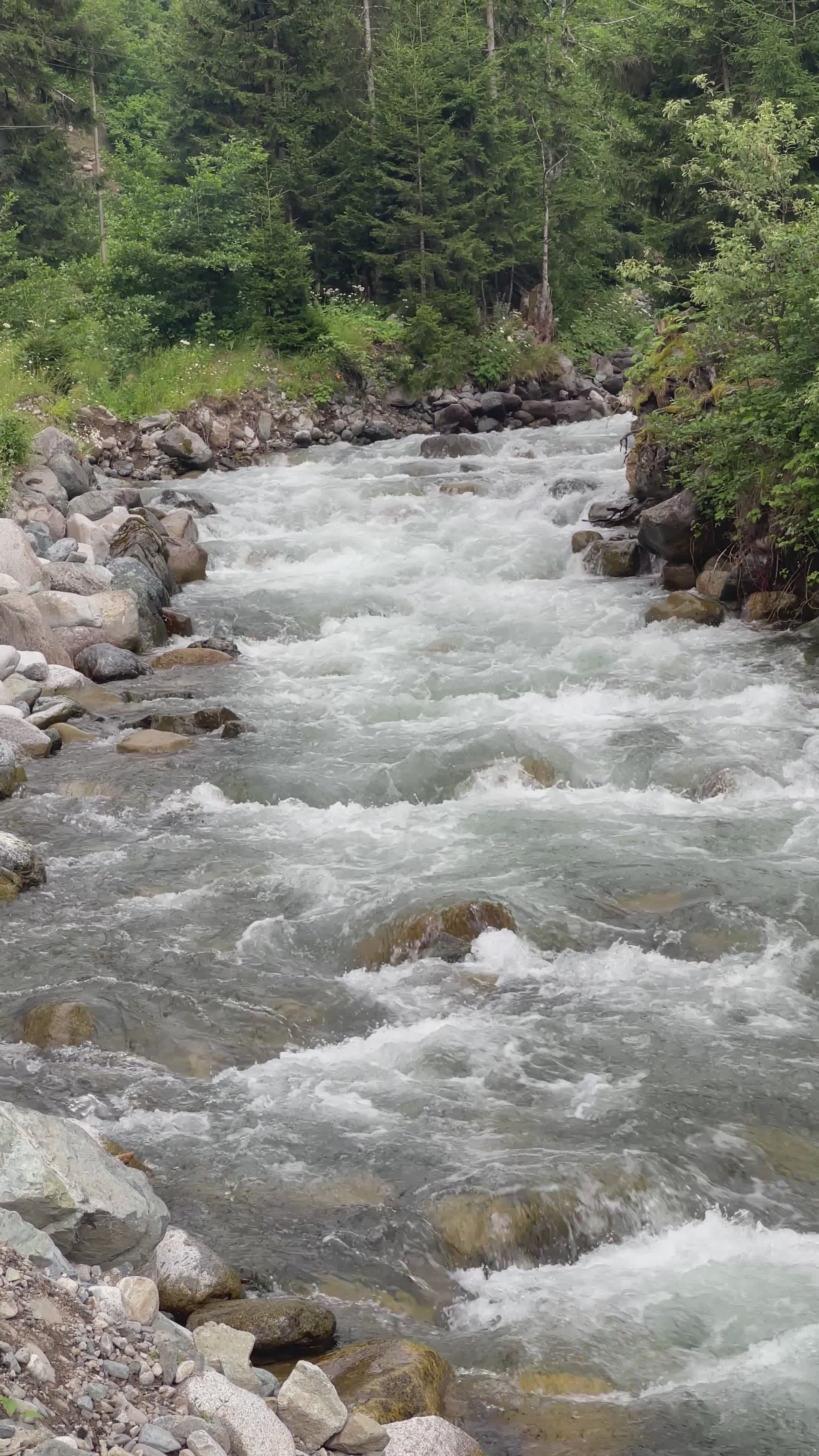 serene mountain river flowing through forest 38672245 — free pexels stock footage