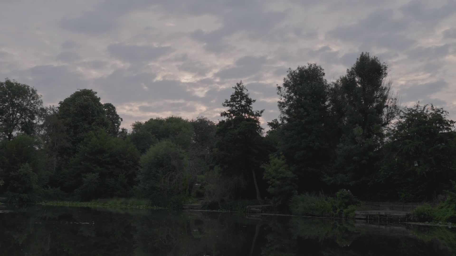Video by Scott Precious