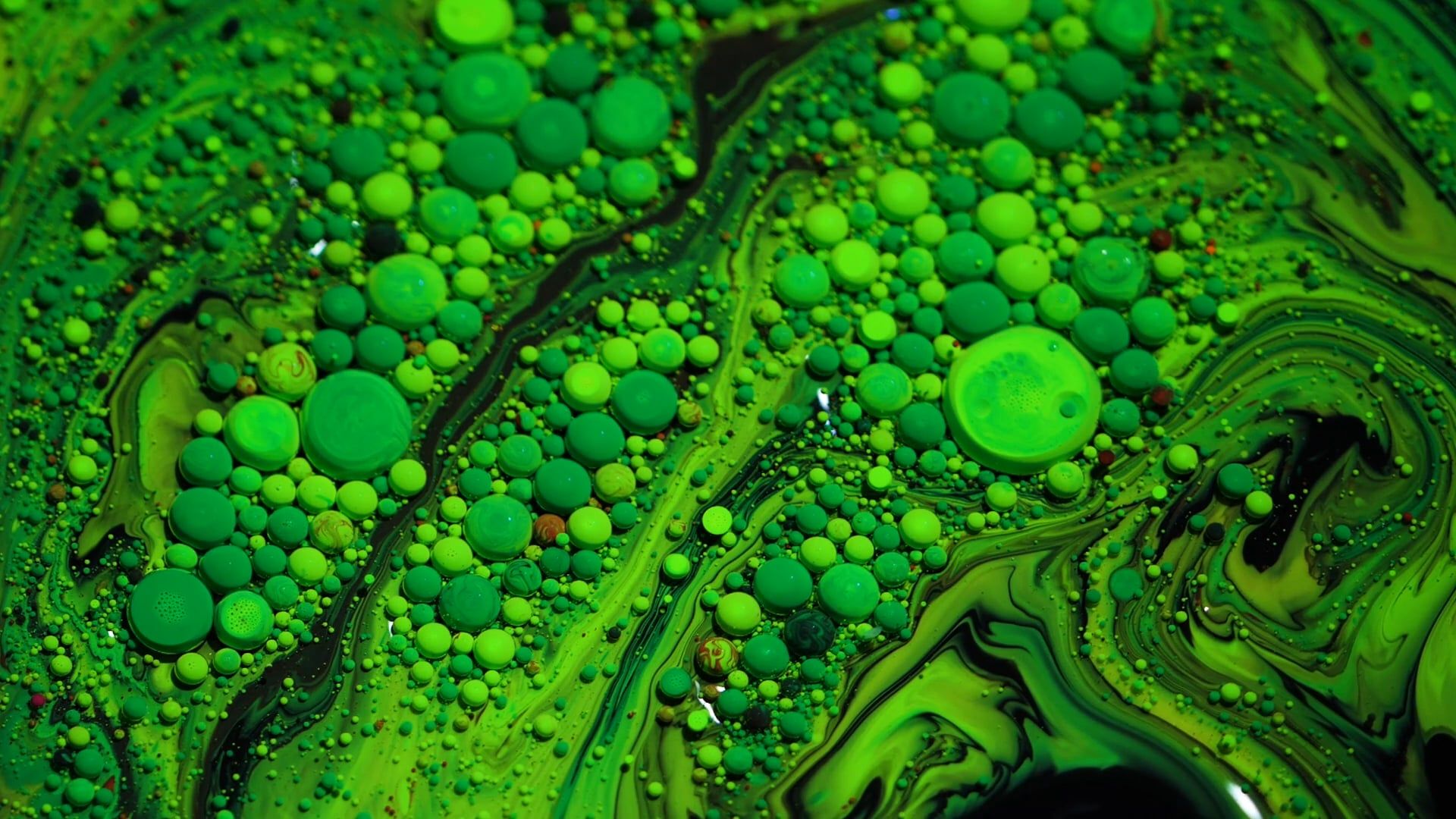 Footage Of A Mixed Color In Slow Motion Free Stock Video Footage ...