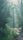 forest ambiance