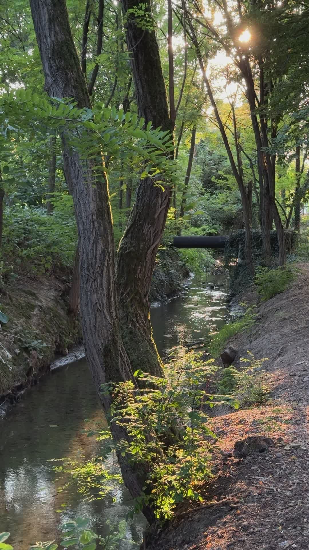 Video by Earth Photart