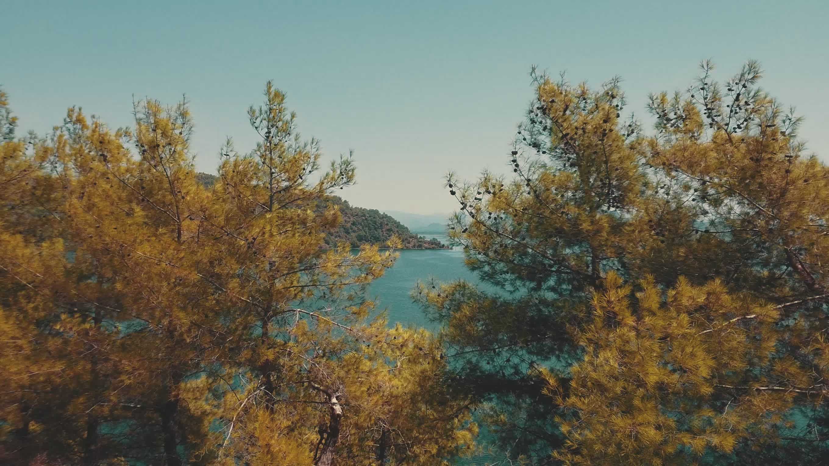 Video by yunus er