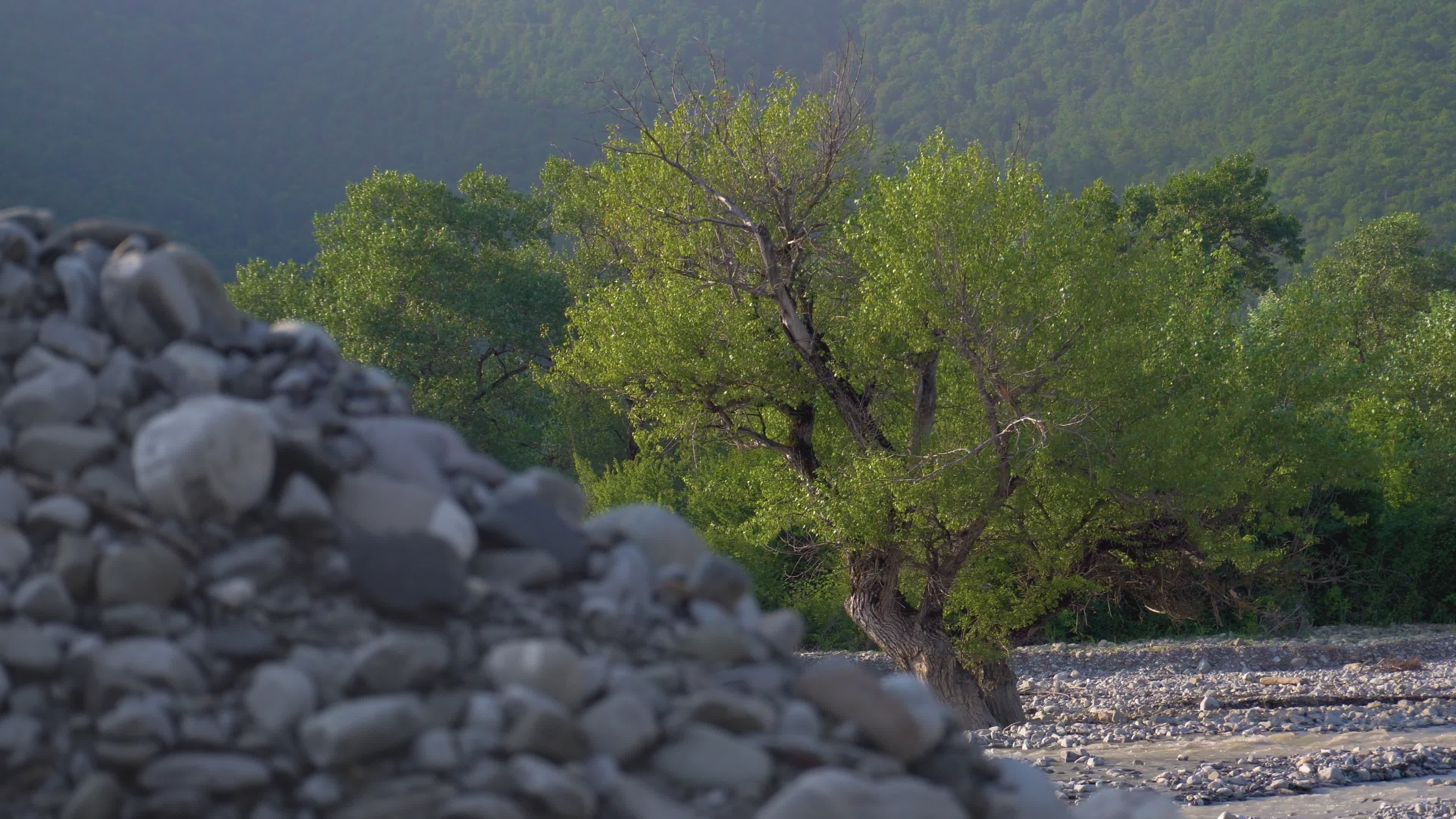 Video by Zulfugar Karimov