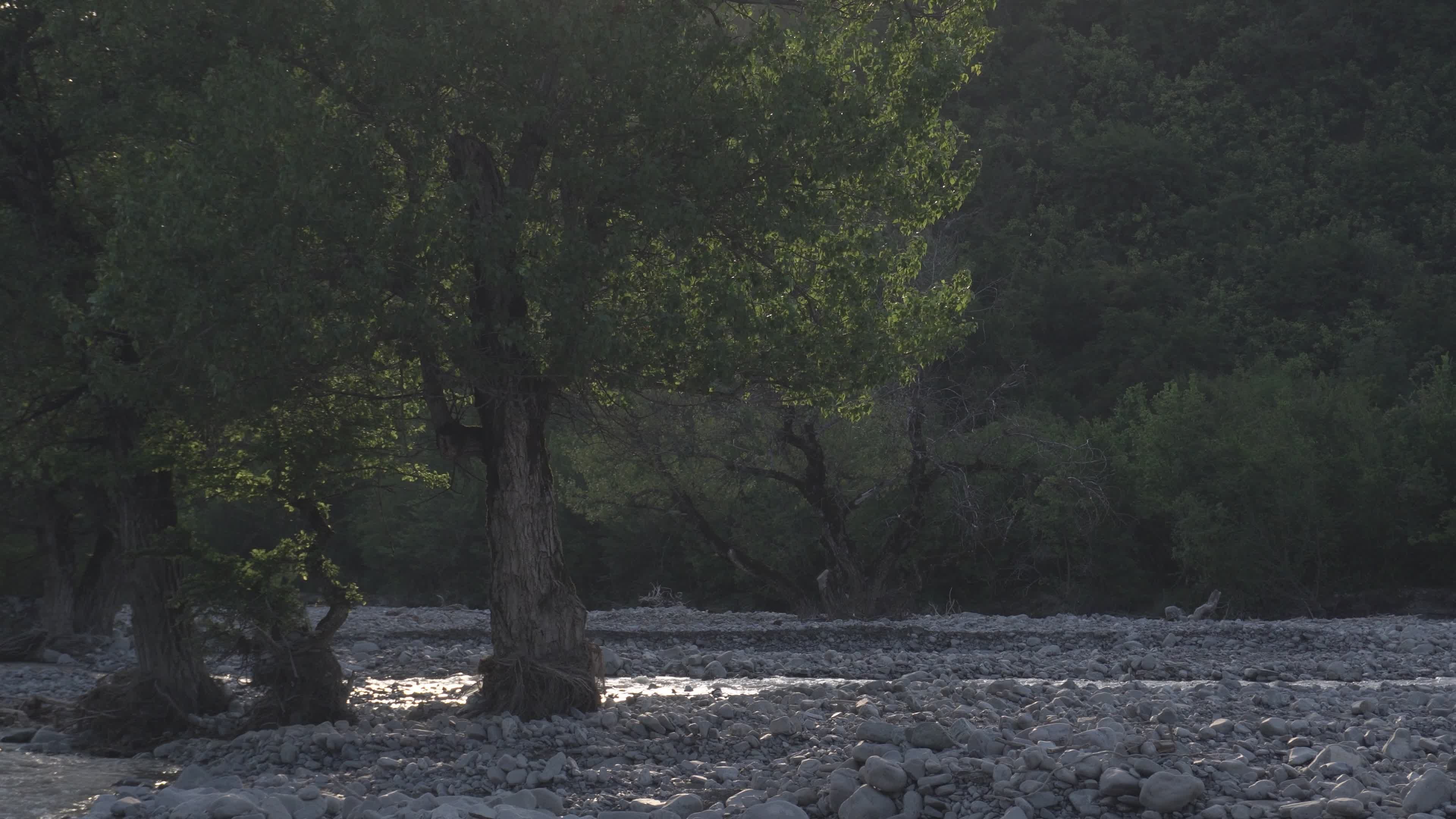 Video by Zulfugar Karimov