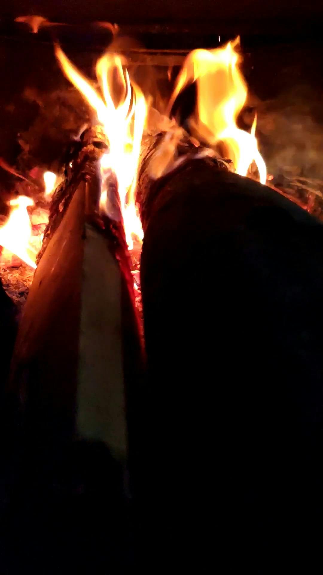 Close Up of Burning Firewood · Free Stock Video