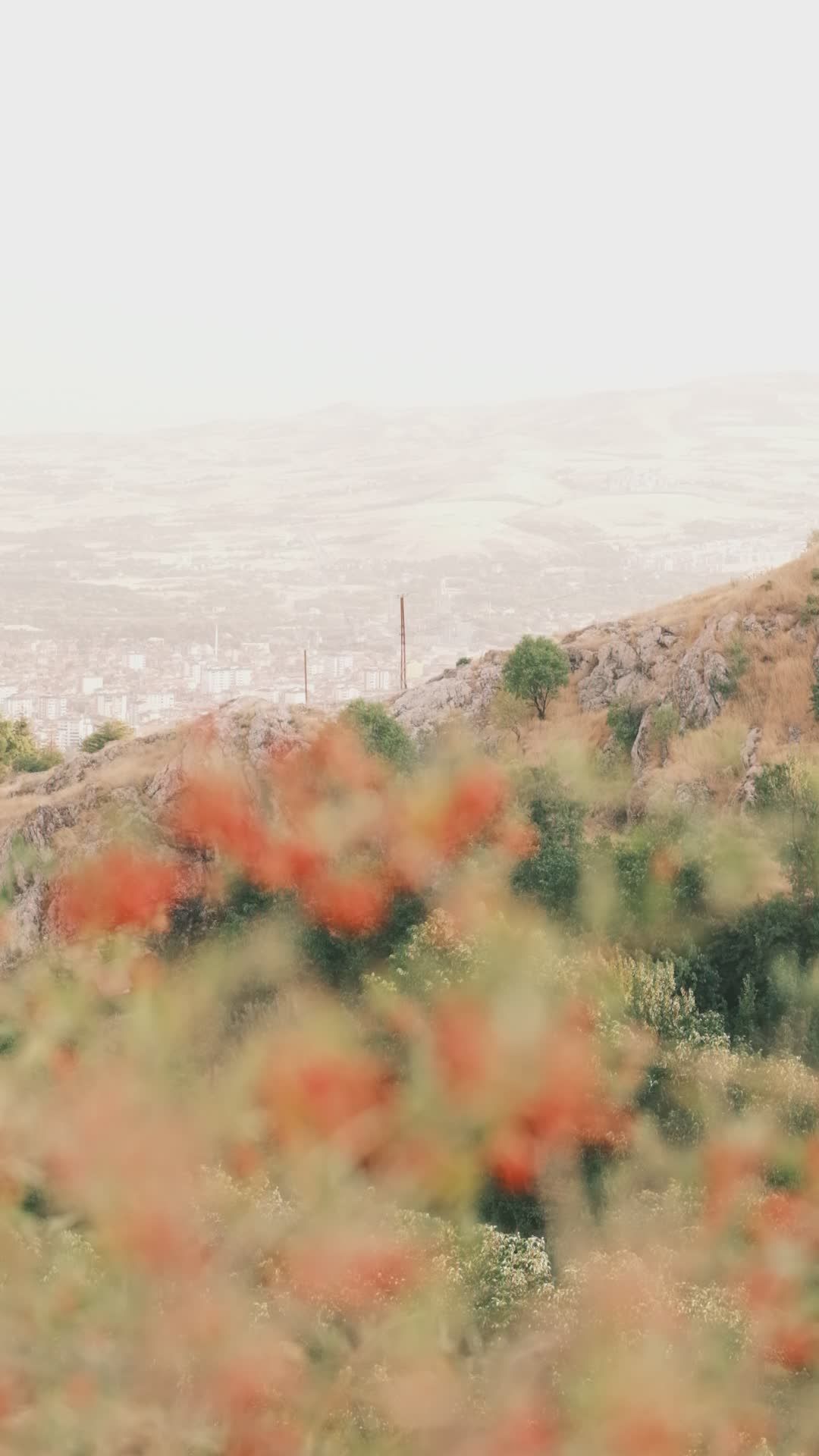 Video by Ebahir
