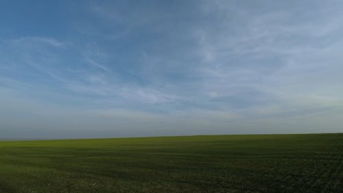 A View Of Grassland Below A Blue Sky