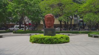 陈树湘烈士视频素材