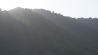当晨光越过山河高清视频免费下载视频素材