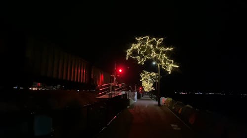 A Train Transferring Cargo At Night