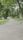 park background