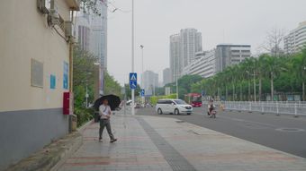 浦东街景视频素材