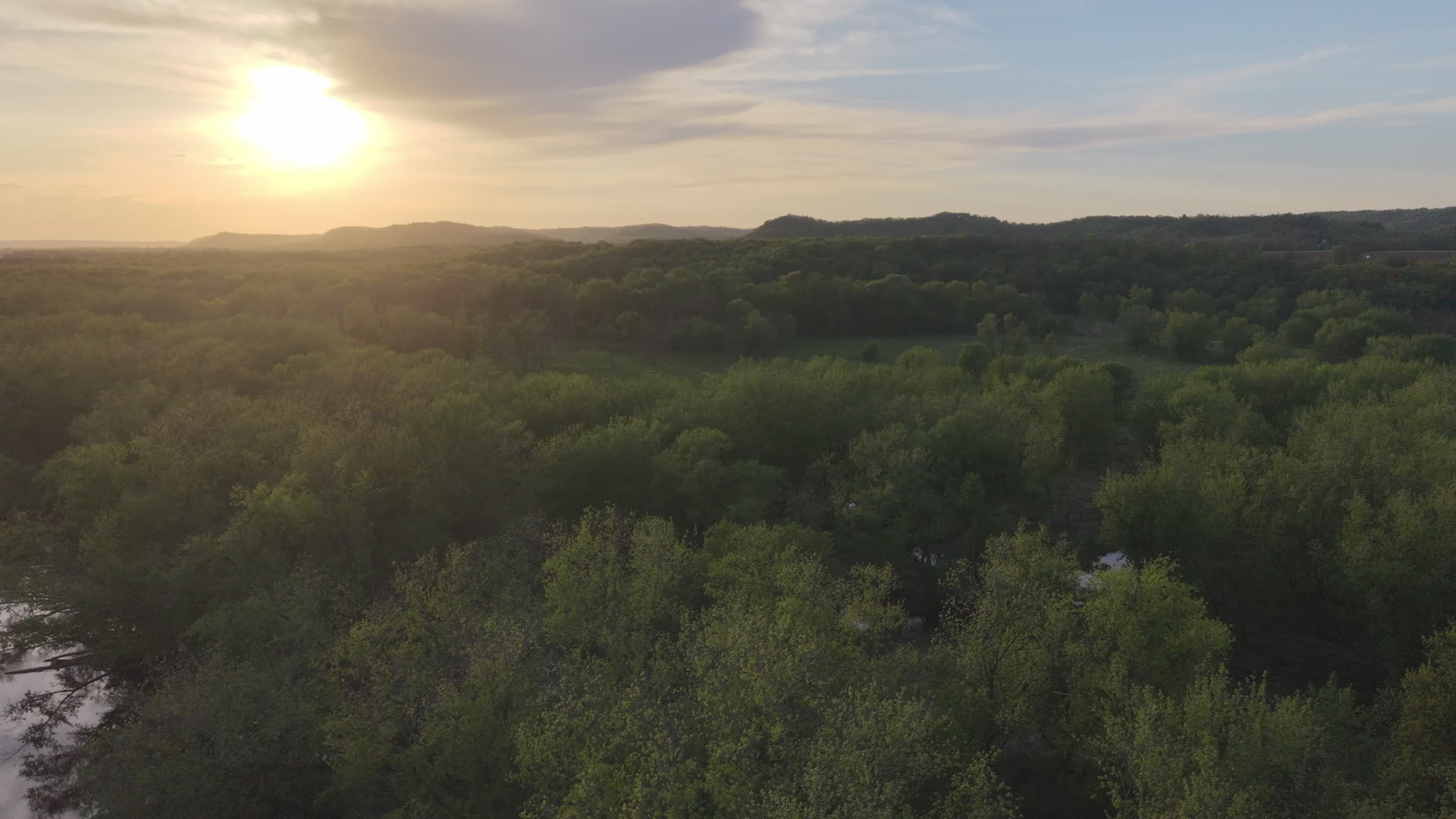 Video by Tom Fisk