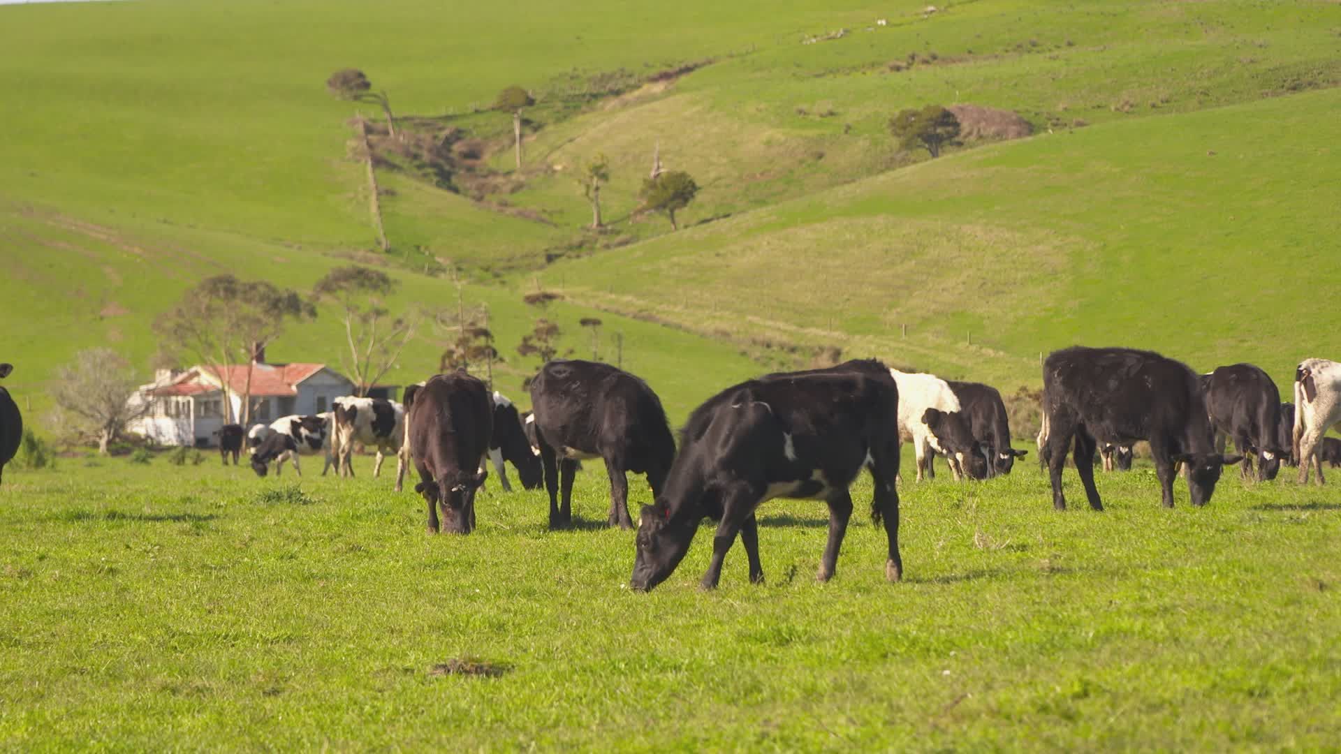 Organic Farming video