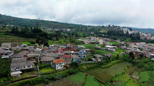 Aerial Shot of a Village