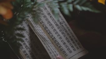 古风书籍免费下载免费下载视频素材