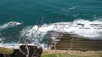 海边免费下载免费下载视频素材