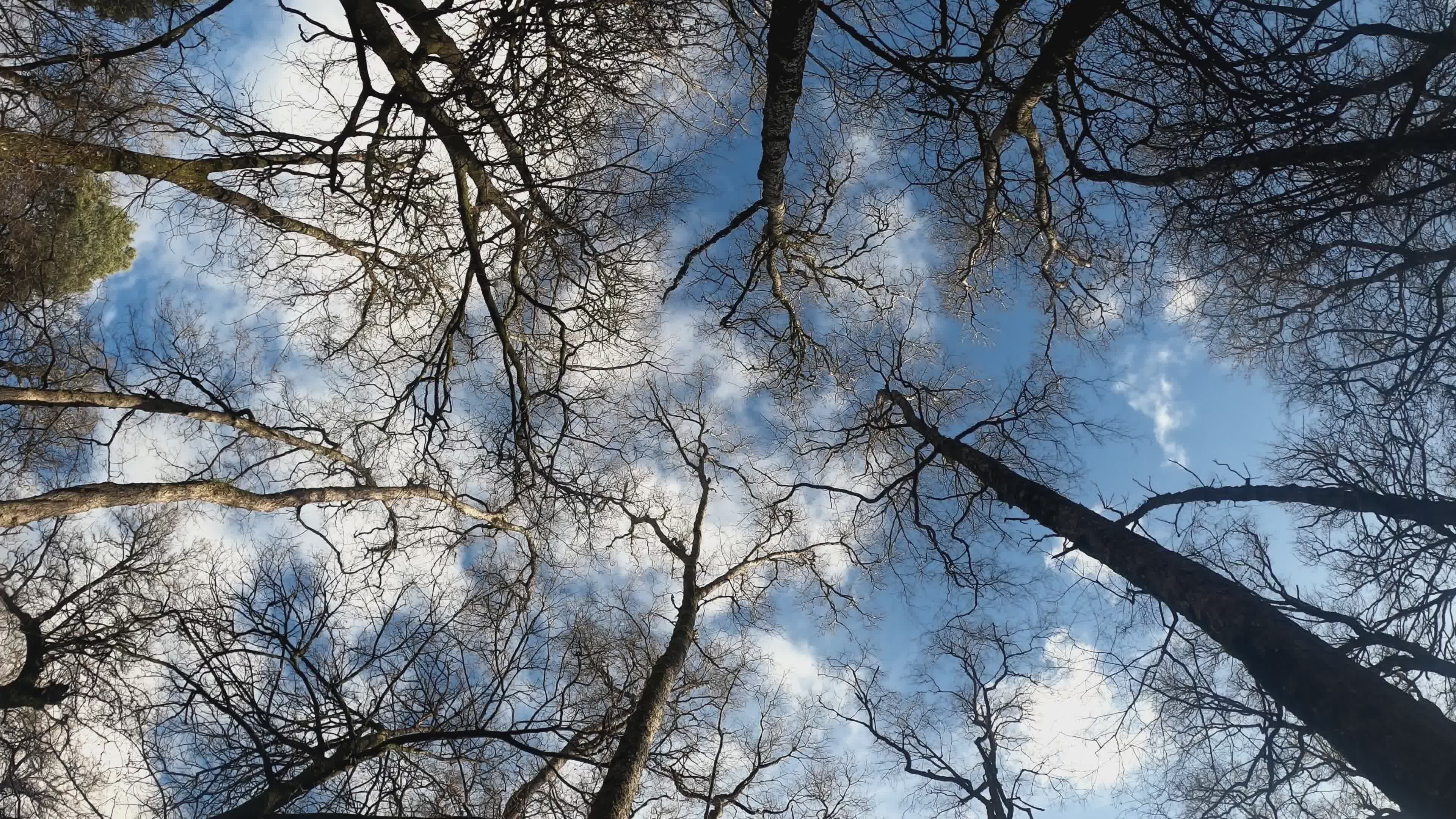 Video by Marc Espejo