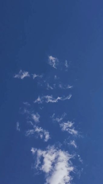 运动高清视频视频素材