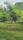 nature peace