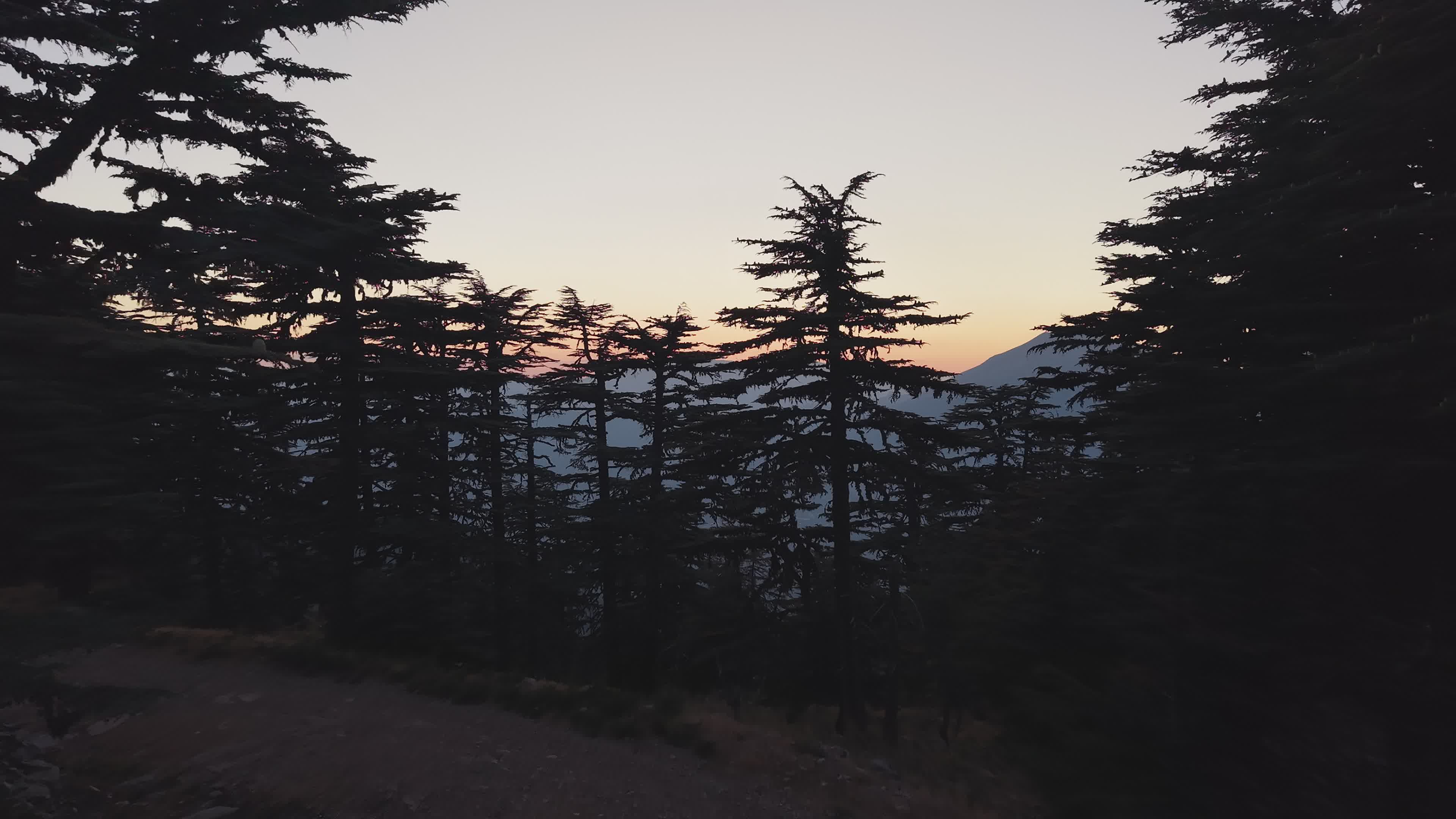 Video by Yunus Terk