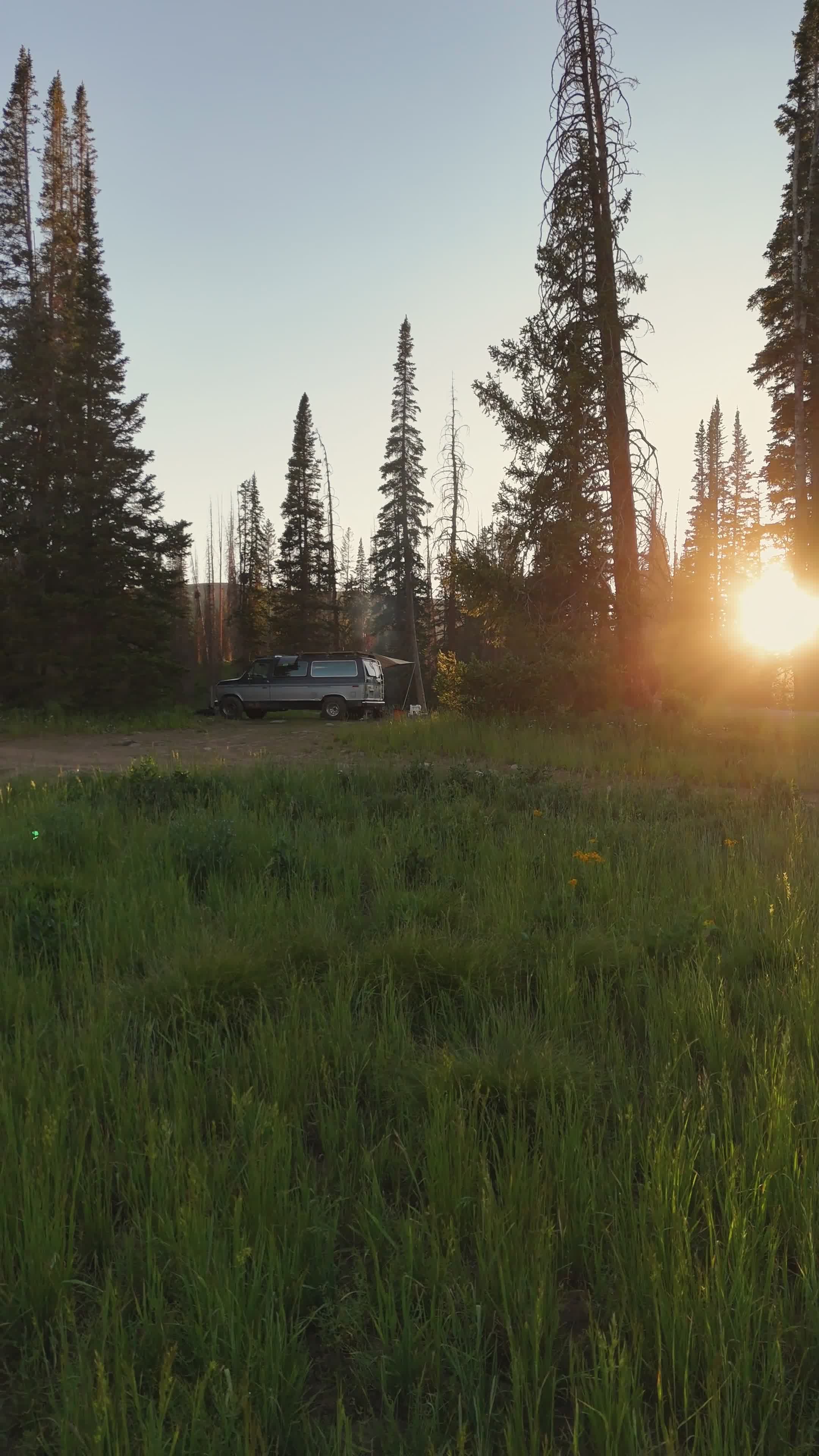 Video by Alex Moliski