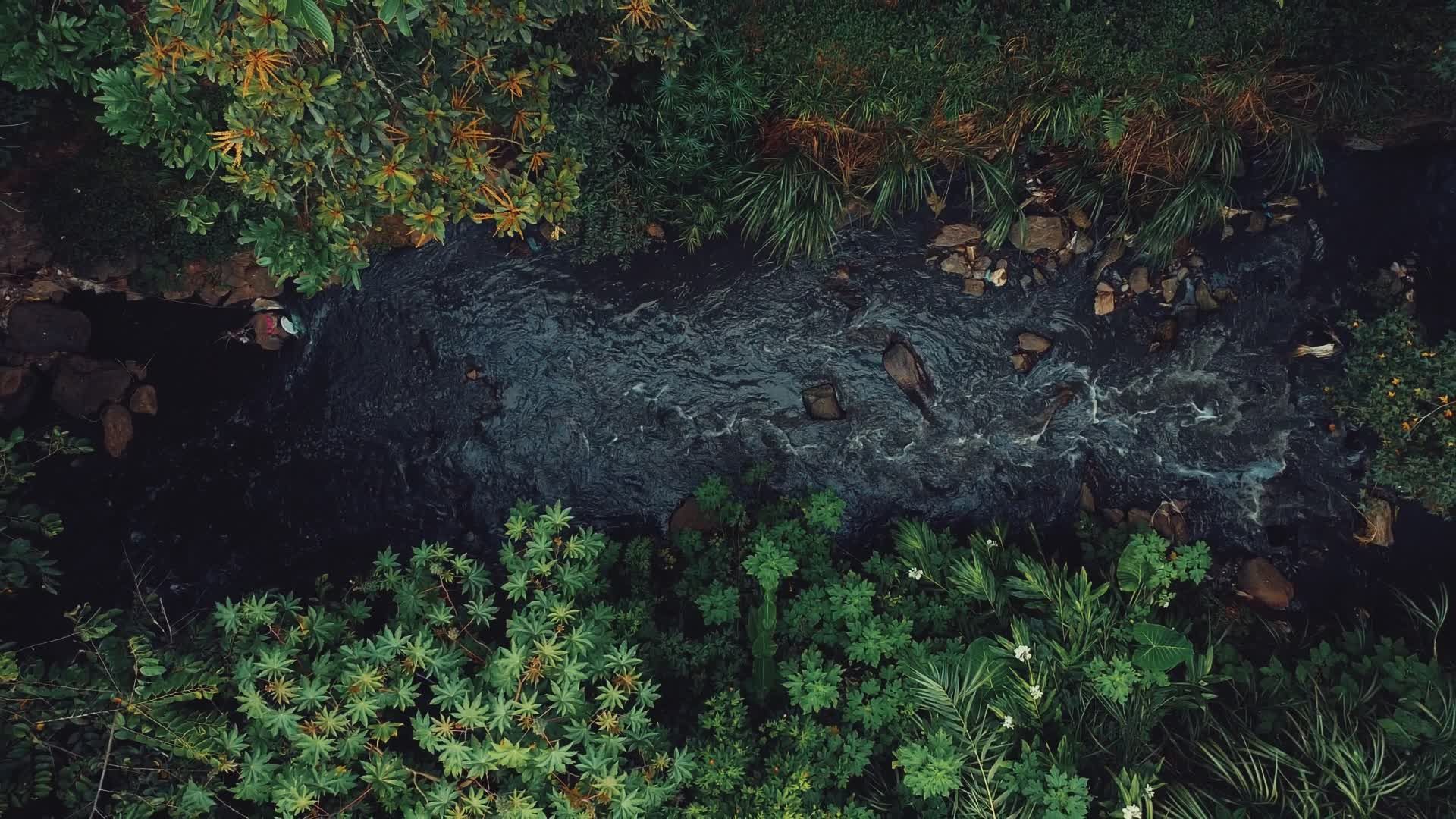 Video by Silva Montanis