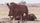 africa