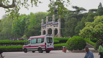 景区出入口免费下载视频素材