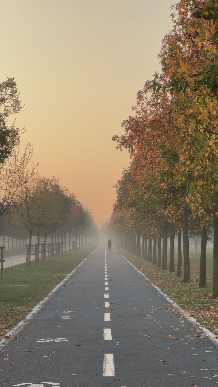Modifier Series Route Brumeuse D'automne Par Une Matinée Tranquille · Vidéo gratuite
