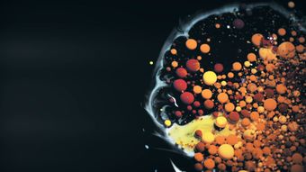 血液脂肪视频素材免费下载高清视频视频素材