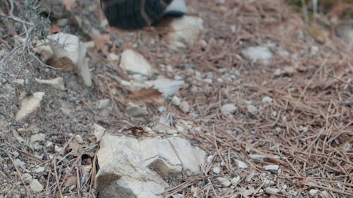 A Person Climbing a Mountain