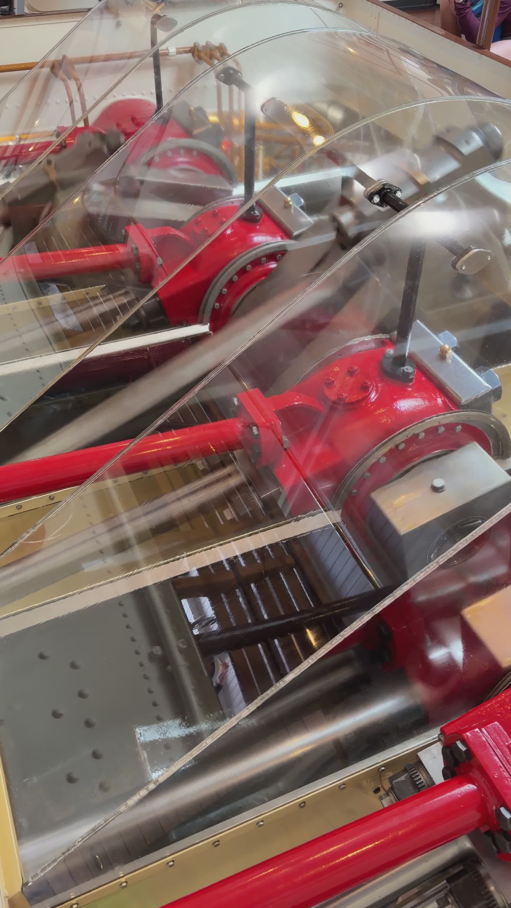 Video by Stephan Leuzinger