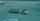 air cargo