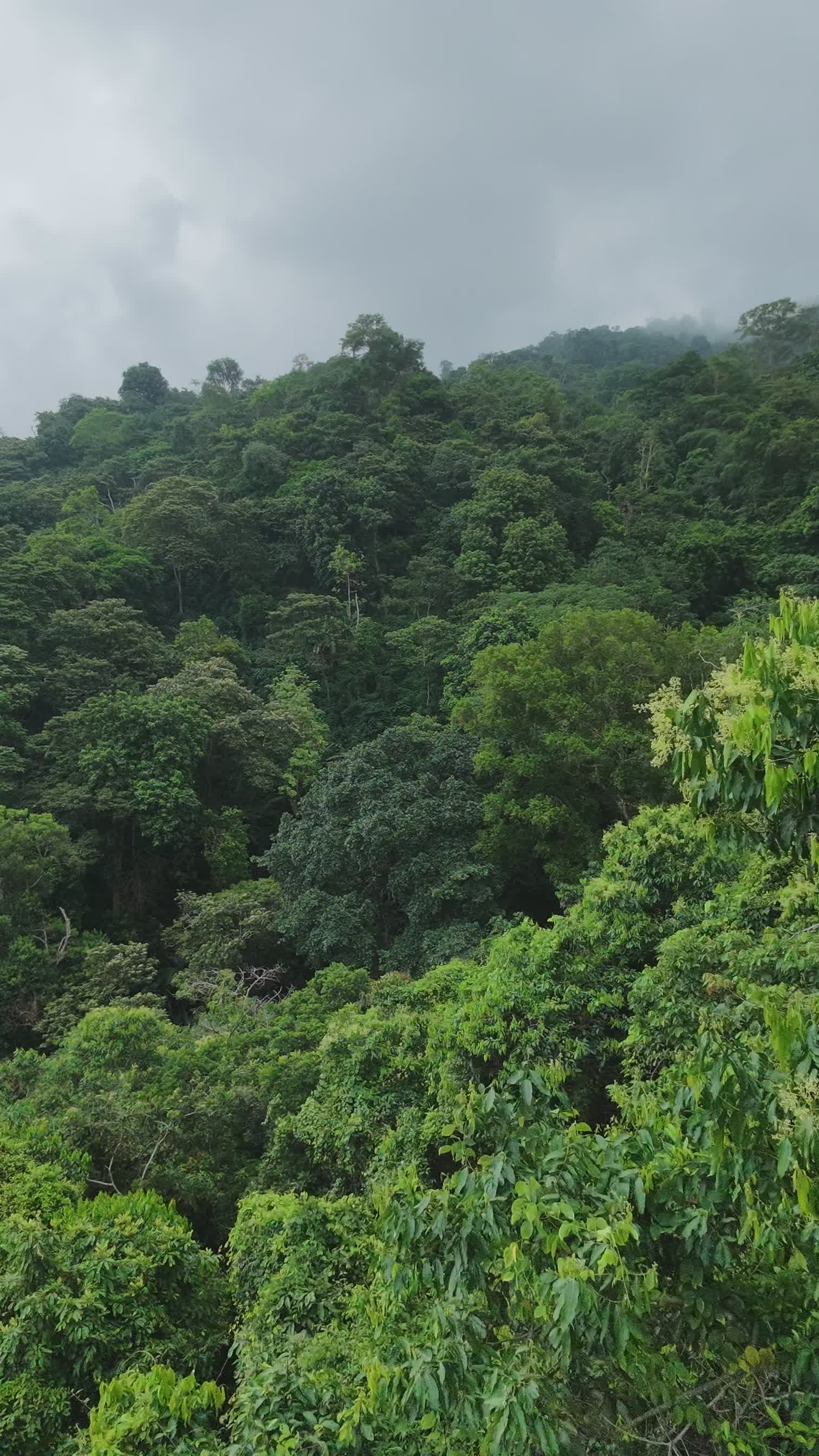 Video by Juan Camilo Trujillo  Botero 🇨🇴📸