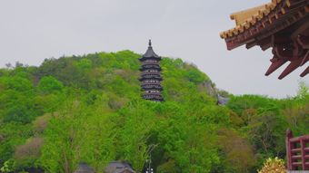 陈家洞景区视频素材免费下载视频素材