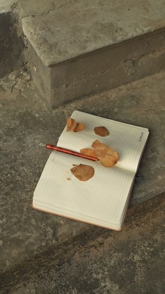 空镜免费下载免费下载视频素材