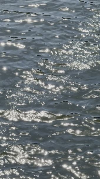 水温视频素材