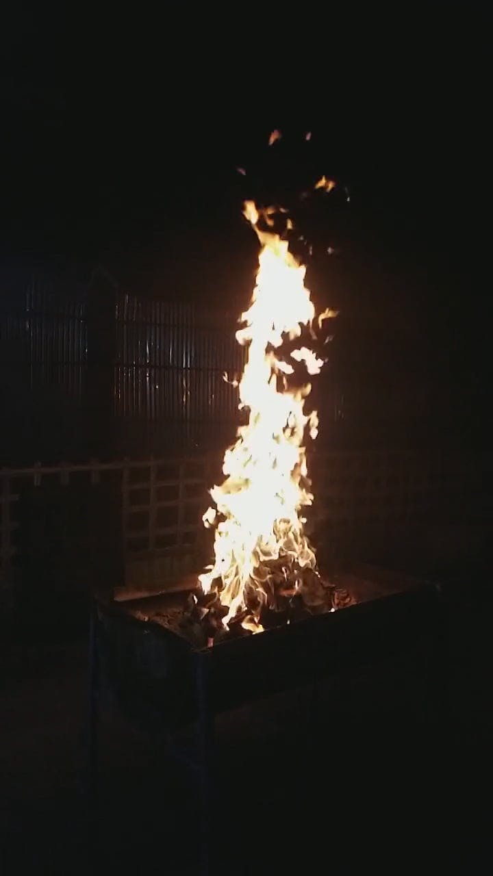 Burning Wood on the Barbeque Grill · Free Stock Video