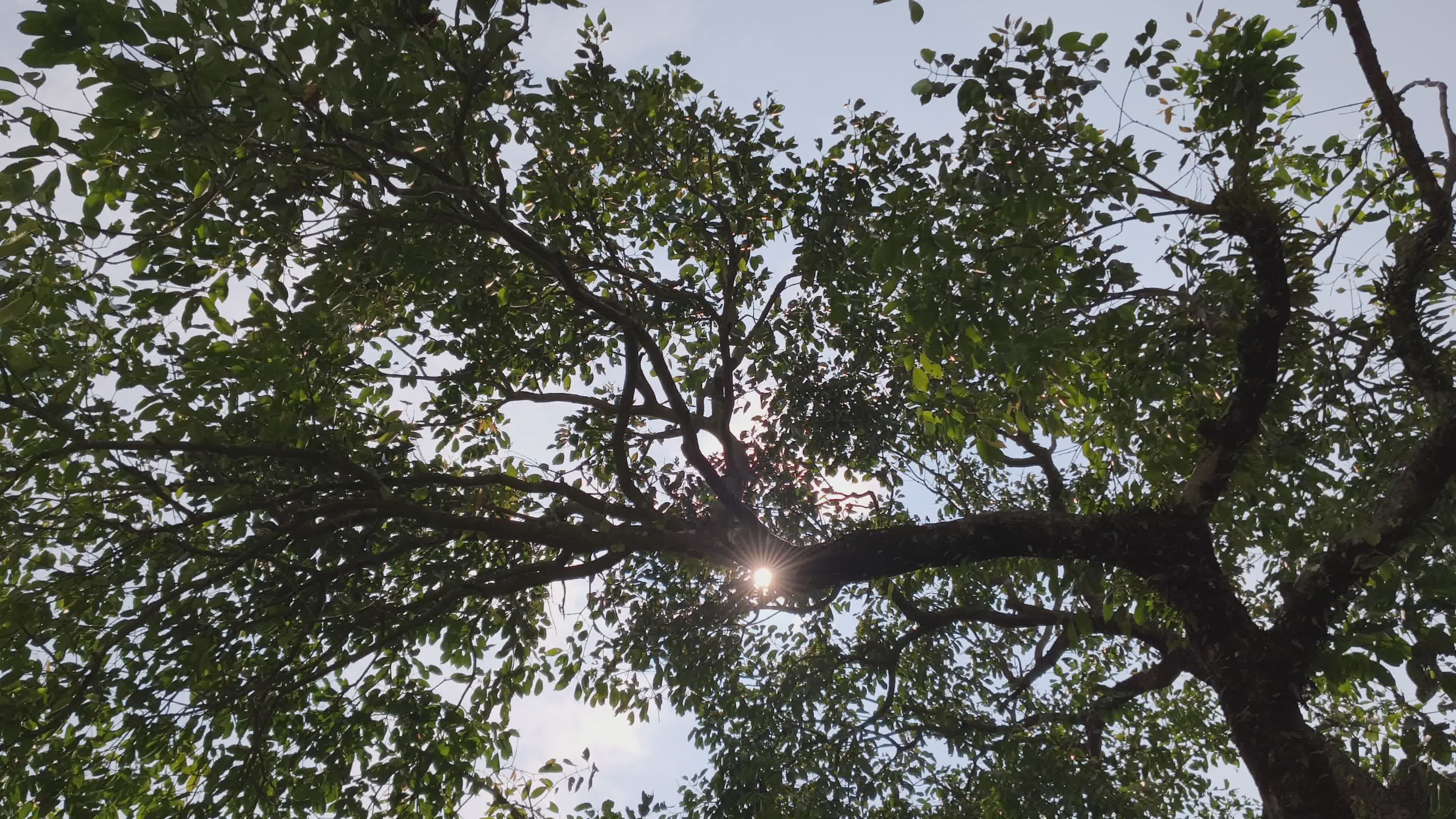Video by Noor Zaman