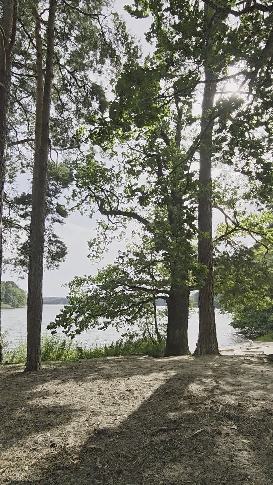 Video by Nadine Ginzel
