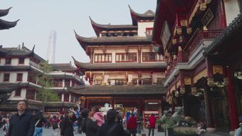 中国文化高清视频免费下载视频素材
