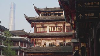 中国文化视频素材视频素材