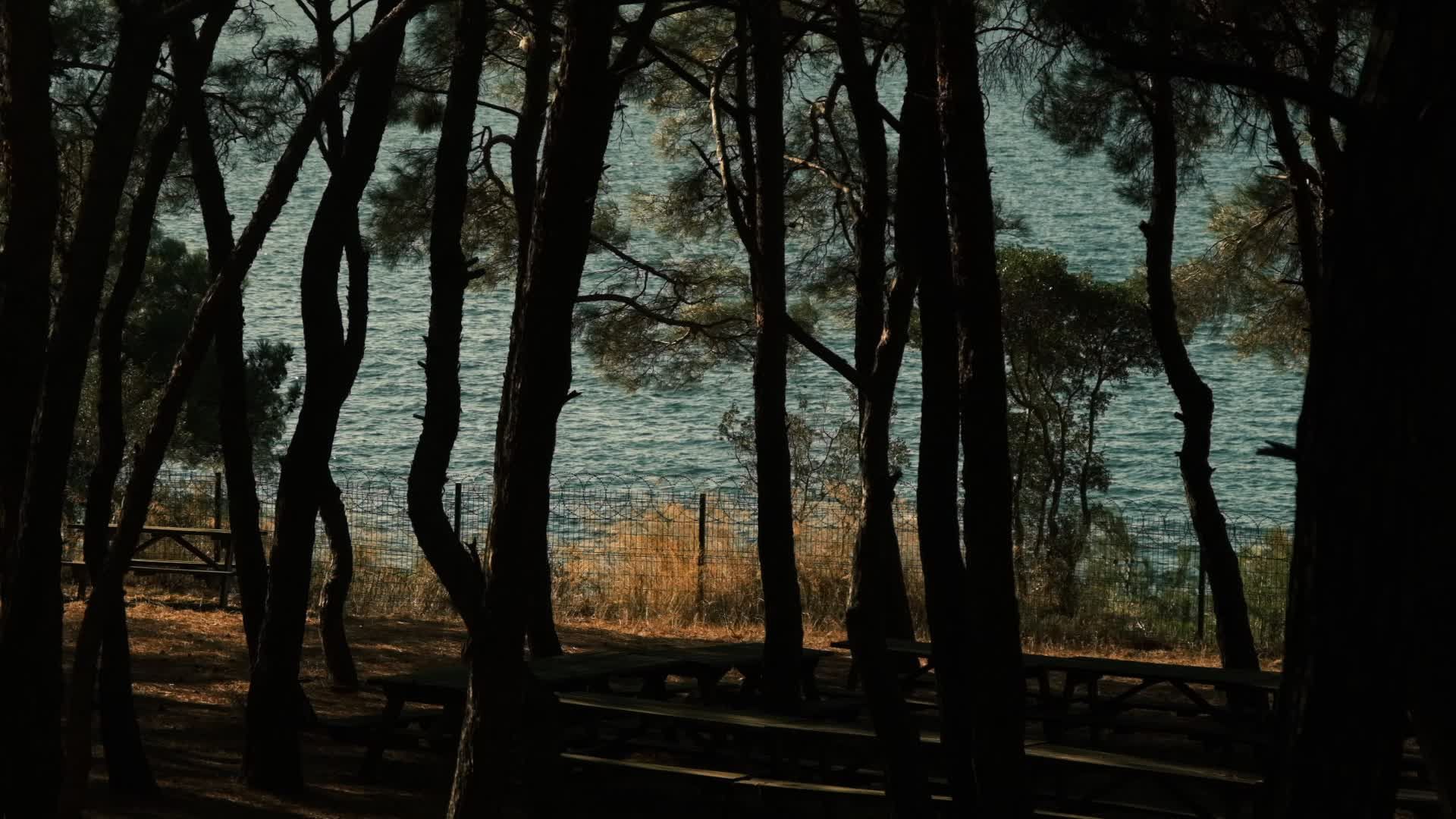 Video by Rahime Gül