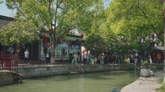 江南水乡视频素材
